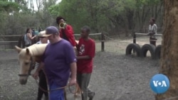 Horses Aid in Therapy for Some Children With Disabilities in Zimbabwe