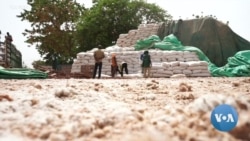 Nigeria food experts divided over government approval of GMO crops