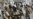 Judge in Brotherhood Trial Withdraws, Case Indefinitely Adjourned