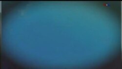 اخبار شامگاهی