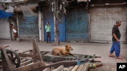 Un perro callejero descansa sobre un carretón mientras jornaleros caminan en un mercado de mayoreo cerrado por el confinamiento en Nueva Delhi, India.