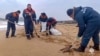 In this photo taken from video released by Russian Emergency Ministry Press Service on Jan. 4, 2025, workers clean fuel oil that spilled out of two tankers more than two weeks ago in the Kerch Strait in Russia's Krasnodar region. (Russian Emergency Ministry Press Service via AP)