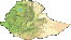 Ethiopia Rain Shortage 08-12-15