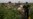 VOA Analysis: Ukraine Plane Crash Gives Insurgency Uncertain Future