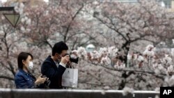 Warga Jepang mengenakan masker saat memotret bunga sakura di Tokyo, Jepang, 27 Maret 2020. (Foto: dok). 