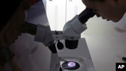 FILE - A visitor to the 21st China Beijing International High-tech Expo looks at a computer chip through a microscope on May 17, 2018.