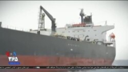 اخبار شامگاهی