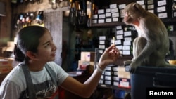 Supaporn Reanprayoorn, 38, a shopkeeper at Chayovanich, feeds her favorite long-tailed macaque, known as 'Sweet,' inside her shop, 