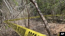 Mexico authorities discover a mass grave containing seven bodies (File)