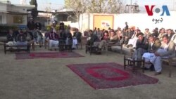 د لیکوال، تاریخ پوه پروېش شاهین د خدماتو ستاینه