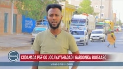 PSF oo amar ku soo rogtay garoonka Boosaaso