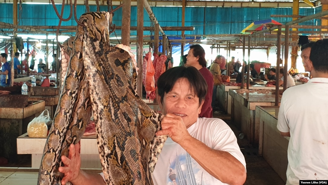 Pasar Ekstrim Tomohon - pasar tradisional unik Minahasa