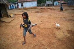 A young boy from the Uru Eu Wau Wau tribe carries dead piglets to cook in the tribe's reserve in the Amazon, south of Porto Velho, Brazil, Aug. 29, 2019.