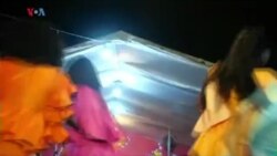 Vous et Nous : quand les animaux de mon enfance disparaissent