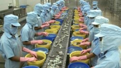 Việt Nam có thể phải phê duyệt công ước về công đoàn độc lập để tránh rắc rối với EU | VOA