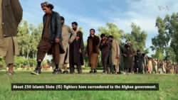 Hundreds of IS Fighters, Families Surrender to Afghan Forces