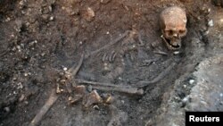 The skeleton of Richard III is seen in a trench at the Grey Friars excavation site in Leicester, central England, London, in this picture provided by the University of Leicester and received in London on February 4, 2013. 
