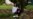16x9 Image