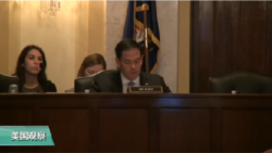 VOA连线：美国会召开听证，讨论“中共之长臂”