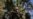 Israeli Military Accused of Using Media to Trick Hamas