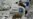 African Experts Discuss Need for Better Regulation of Medicine