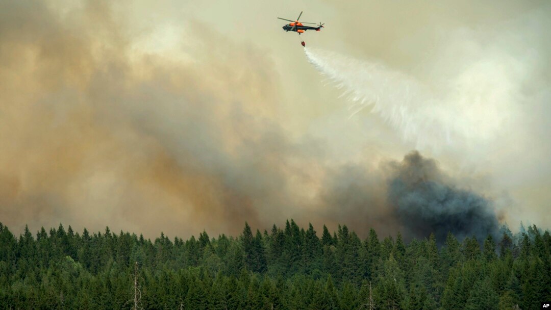 A helicopter dumps its load of water on the wildfire just outside the evacuated village of Gammelby near Sala, Central Sweden, Monday, Aug. 4, 2014. 