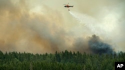 A helicopter dumps its load of water on the wildfire just outside the evacuated village of Gammelby near Sala, Central Sweden, Monday, Aug. 4, 2014. 