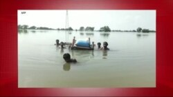 د ډیوه د روانو چارو خپرونه په ټي وي
