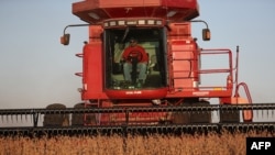 A man harvests the soybeans in the field at the Bardole & Son's Ltd farm in Rippey, Iowa, Oct. 14, 2019.