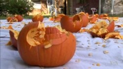 New York Man Smashes Pumpkins to Set Guinness Record