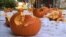 New York Man Smashes Pumpkins to Set Guinness Record