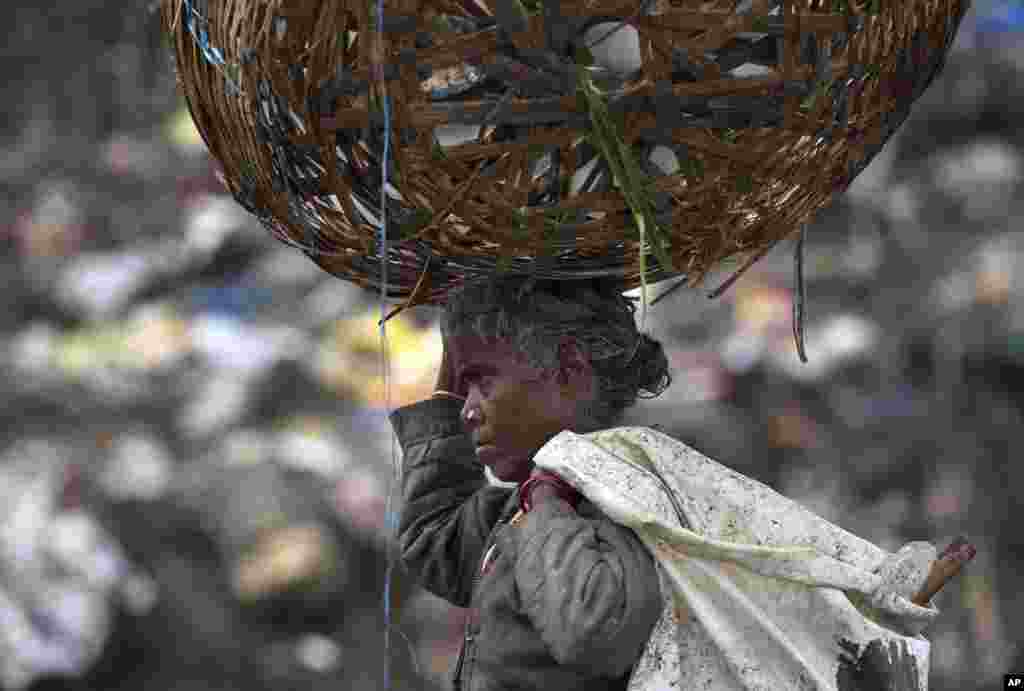 An Indian woman searches for reusable material at a garbage dumping site on World Environment Day in Gauhati.