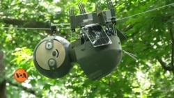 اٹلانٹا کے بوٹینیکل گارڈن کا منفرد 'سلوتھ روبوٹ'