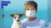 Cão em Hong Kong identificado com coronavírus