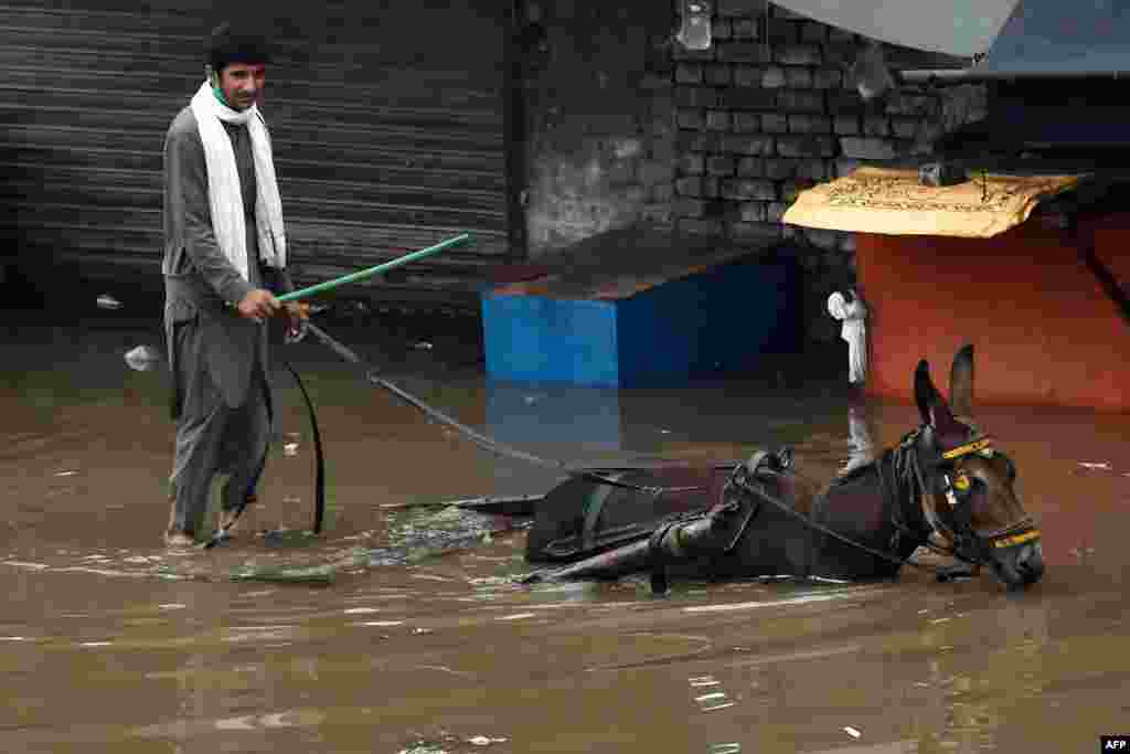 A laborer rides a donkey cart through a flooded street after heavy monsoon rains in Lahore, Pakistan.