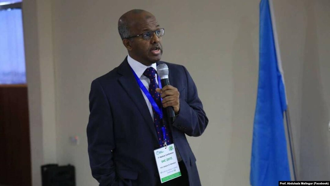 Prof. Abdulaziz Malingur