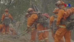 Des prisonniers aident les pompiers à lutter contre les incendies en Californie