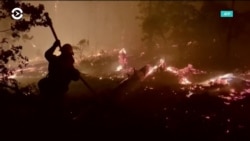 Пожары на западном побережье: огнем охвачены три штата