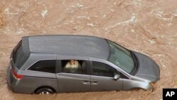 FILE - Seorang wanita terperangkap dalam kendaraan yang terjebak dalam banjir bandang di dekat daerah Anthem di pinggiran utara metro Phoenix, Arizona.