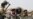 Opposition Hopes to Gain Information from Libyan Defector