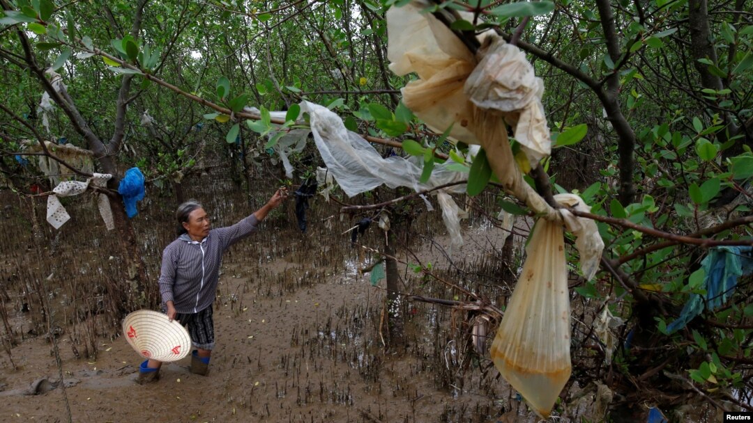 Một phụ nữ dọn rác nhựa gần một bãi biển ở tỉnh Thanh Hóa, tháng 6/2018.