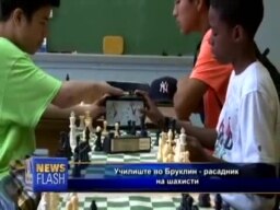 Шаховско училиште