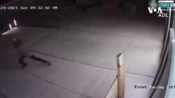Rise in Antisemitism
