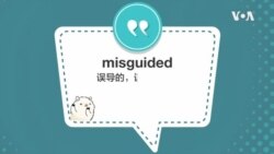 学个词 - misguided