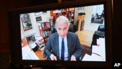 Dr. Anthony Fauci, director of the National Institute of Allergy and Infectious Diseases speaks remotely during a virtual Senate Committee for Health, Education, Labor, and Pensions hearing May 12, 2020.