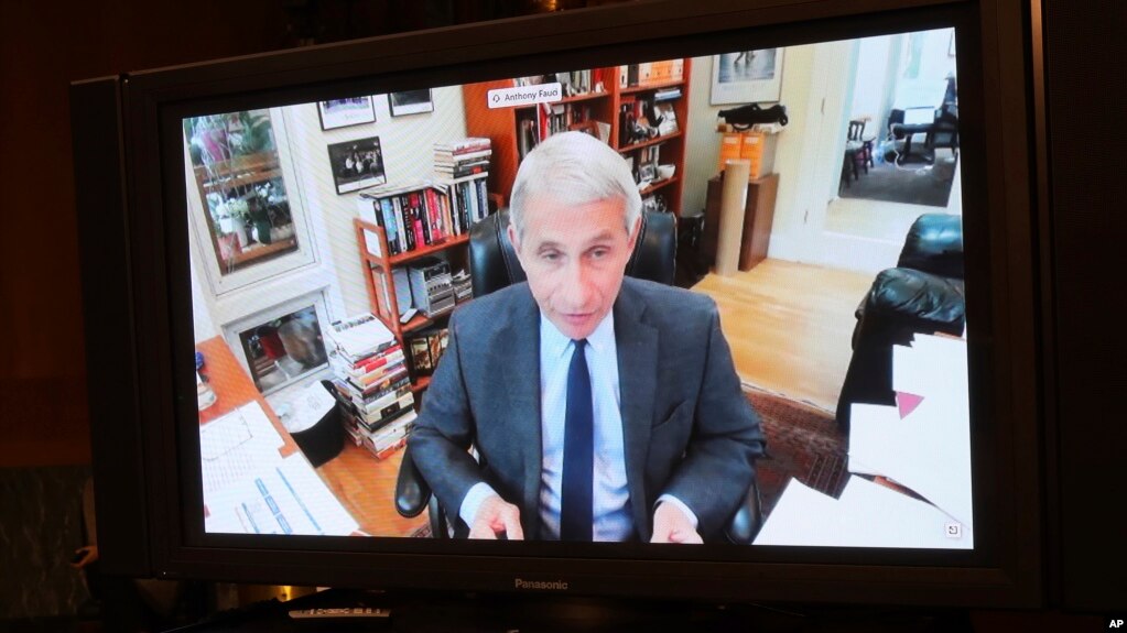 Dr. Fauci gjatë dëshmisë virtuale.