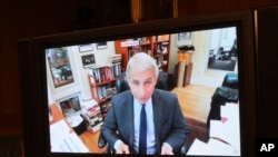 Dr. Anthony Fauci, director of the National Institute of Allergy and Infectious Diseases speaks remotely during a virtual Senate Committee for Health, Education, Labor, and Pensions hearing, Tuesday.