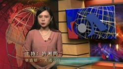 Mandarin American Report 784 - 美國專訊 784 (普通話)