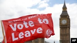 Britain EU Leave supporters hold flags as they stand on Westminster Bridge during an EU referendum 