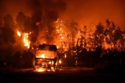 A wildfire burns in the village of Vasilika, on Evia island, Greece, Aug. 7, 2021.